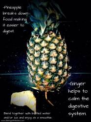 SOMETIMES I JUST WANT TO STAY HOME AND FART MYSELF TO SLEEP